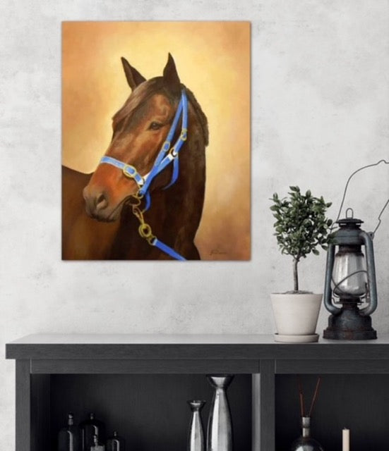 Racehorse Champion Black Caviar portrait