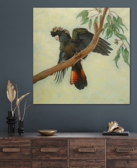 Red Tailed Black Cockatoo