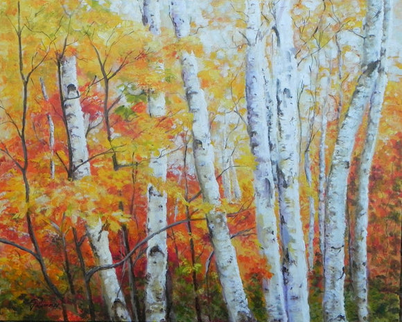 Autumnal Birches