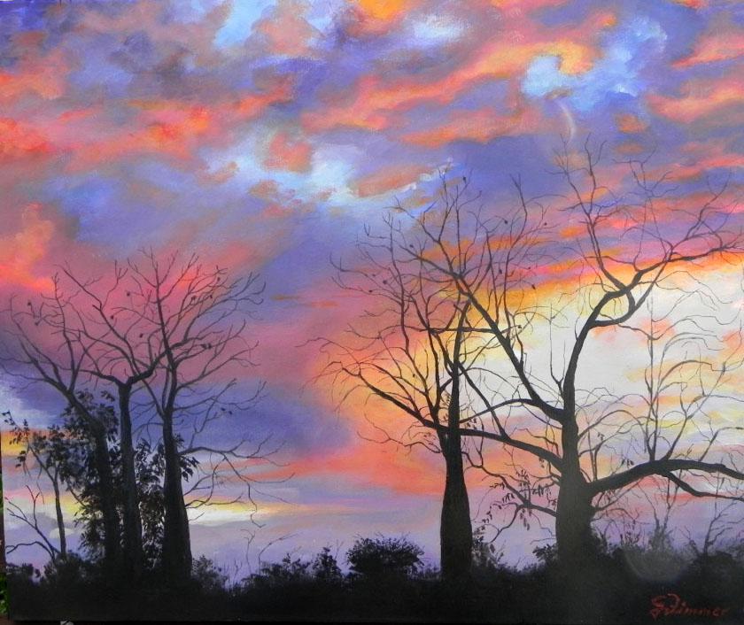 Baobabs at Sunset, Australia