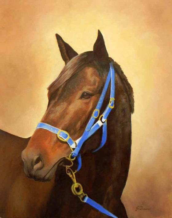 Racehorse Champion Black Caviar portrait