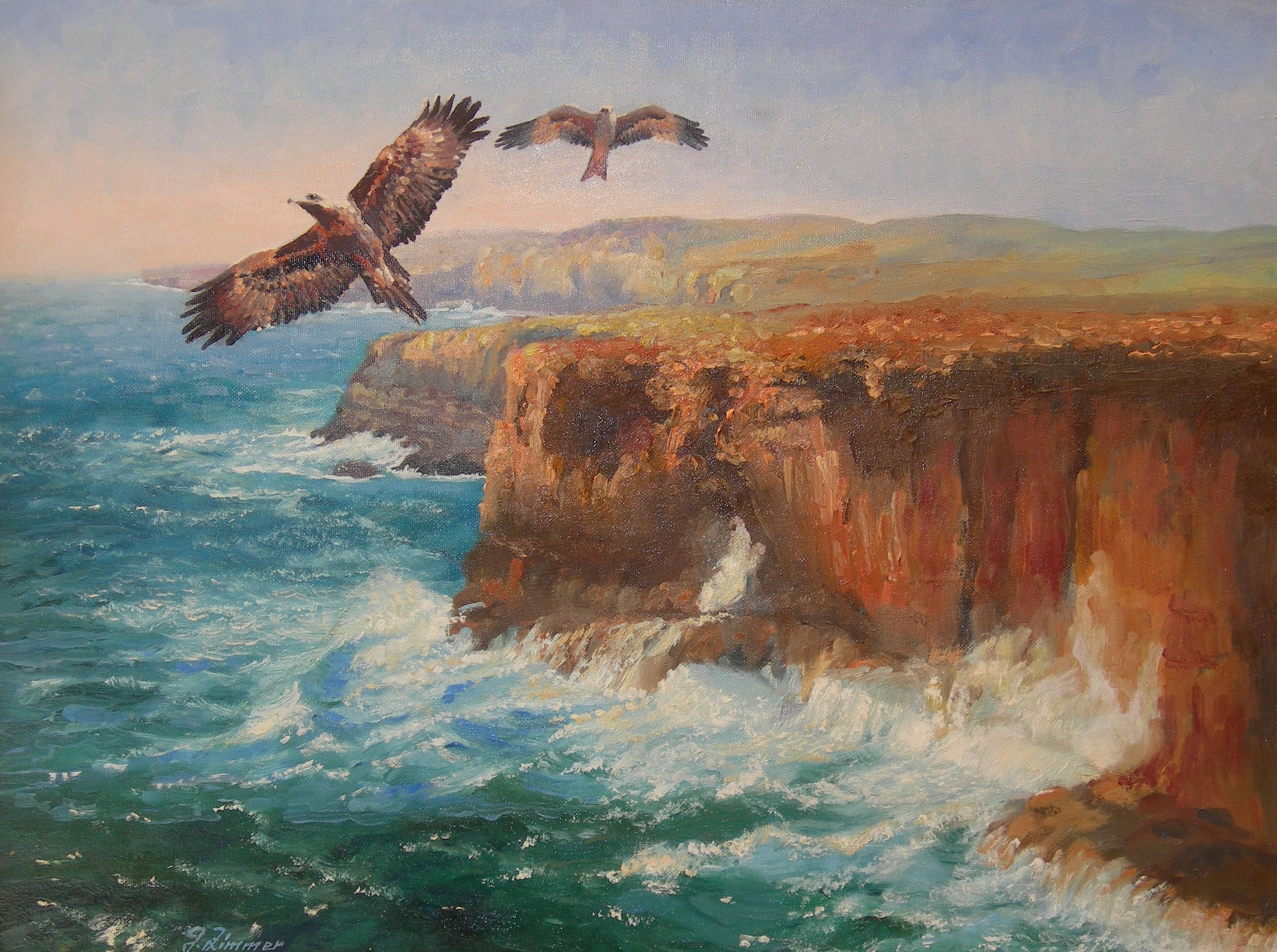 Wedgetailed Eagle and Kite over Port Campbell, Victoria, Australia