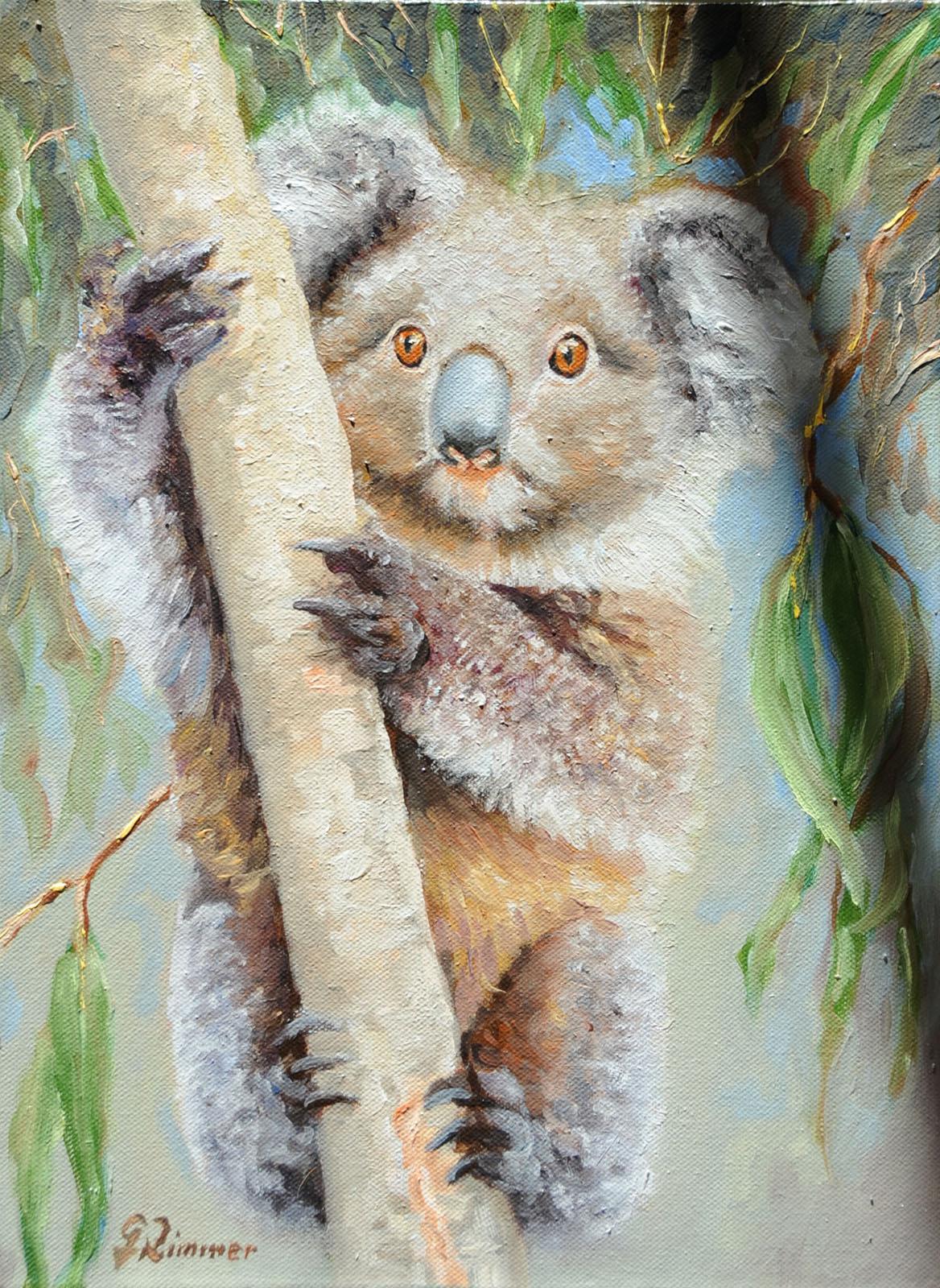 Koala Bear
