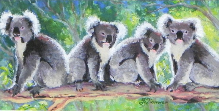 Koalas