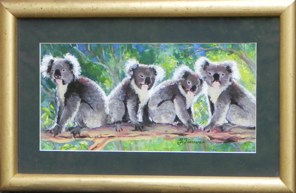 Koalas