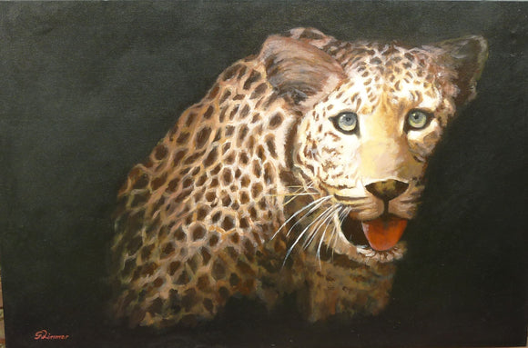 Leopard Night Hunt