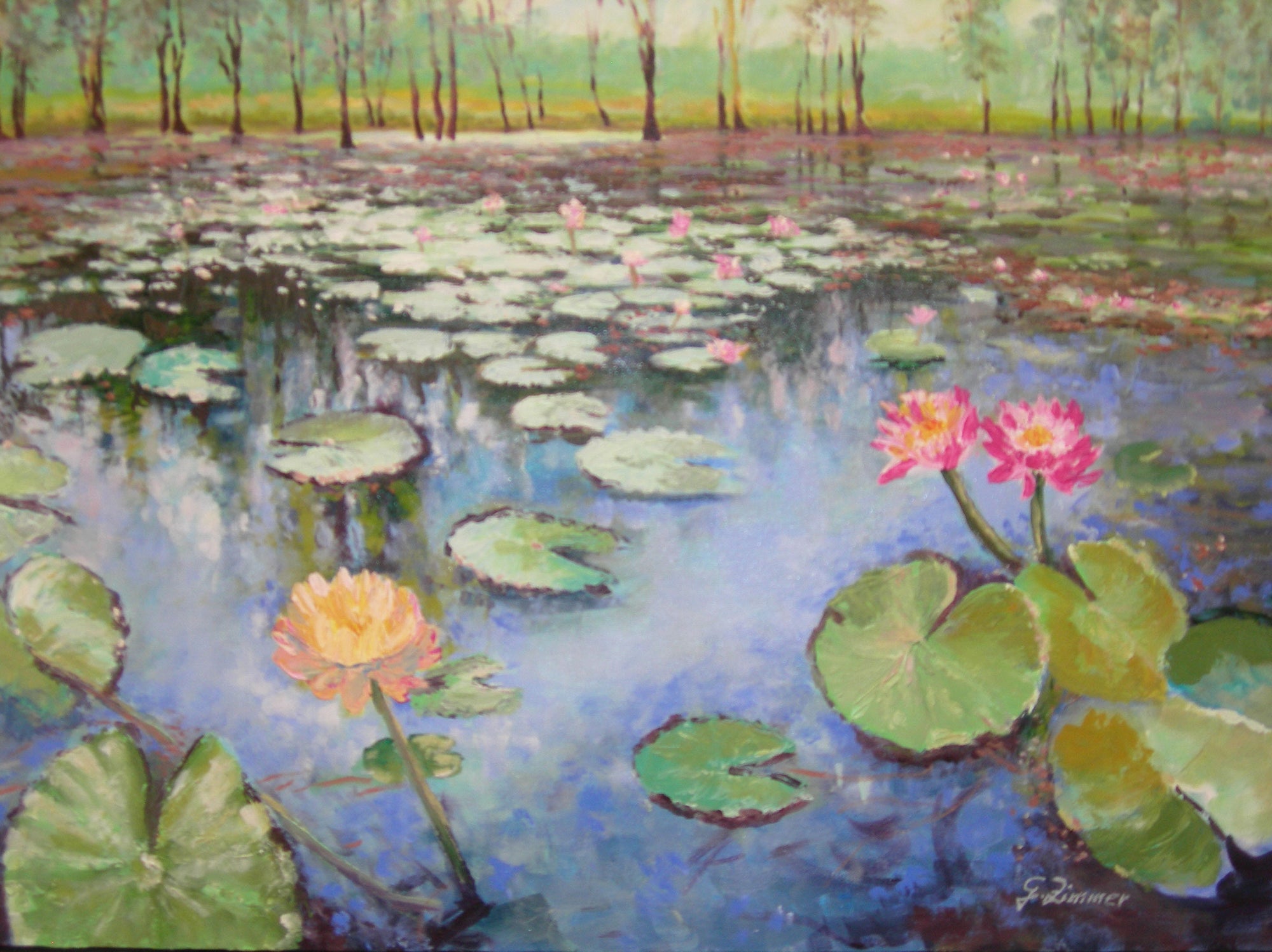 Water Lillies