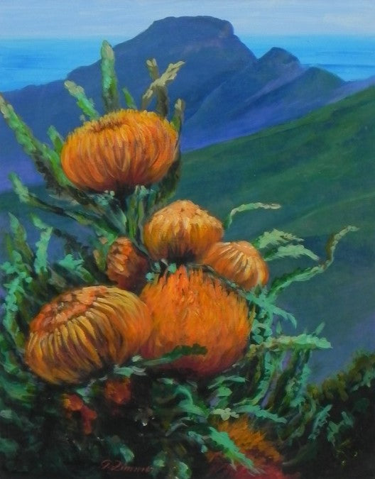 Orange Proteas on Hillside