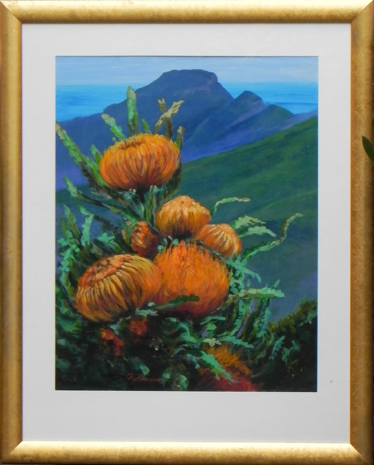 Orange Proteas on Hillside