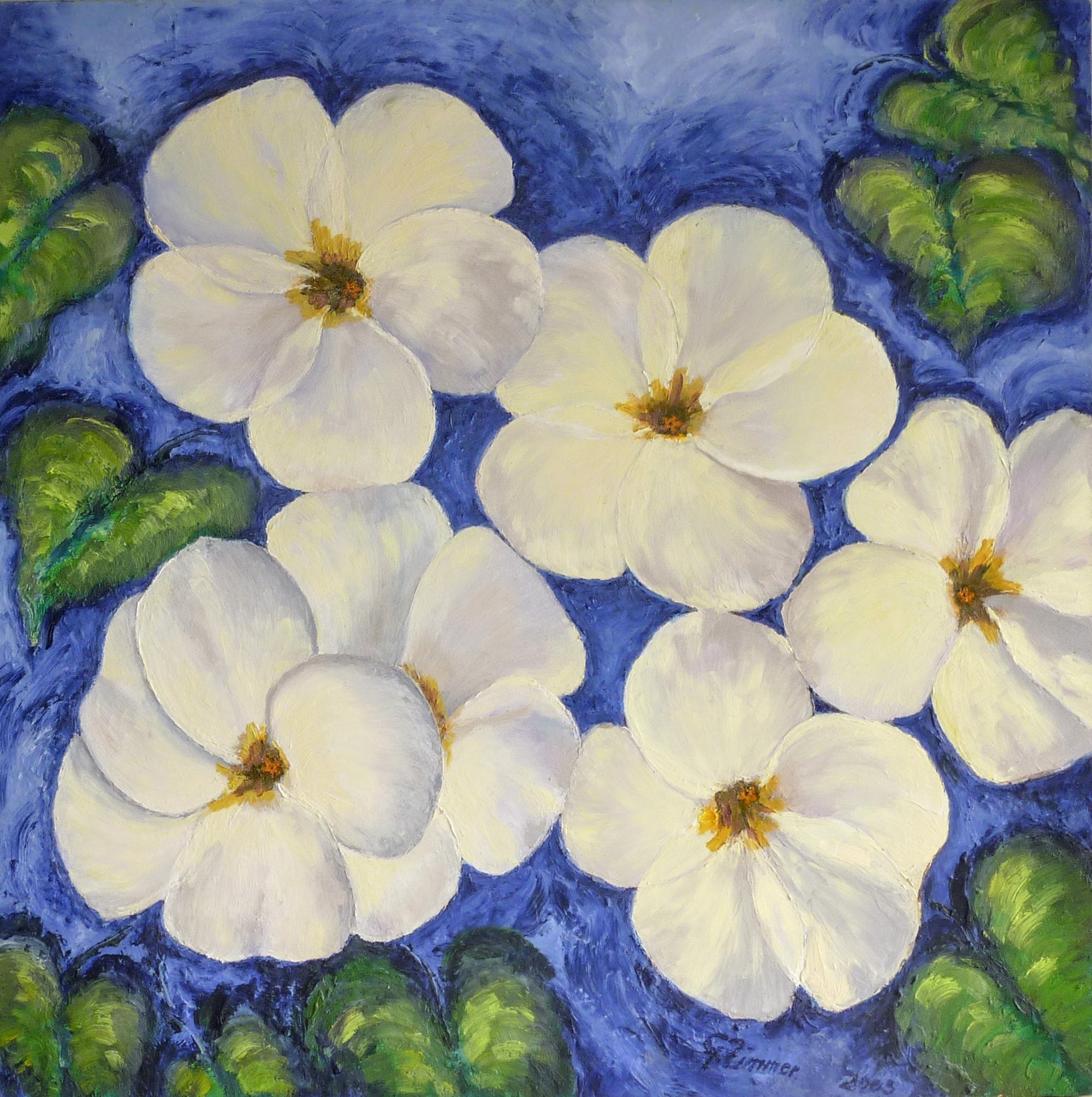 White pansies