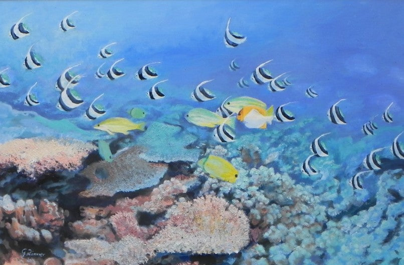 Reef Fish