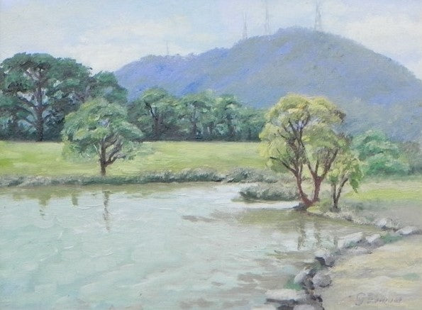 Retarding Basin, Victoria, Australia