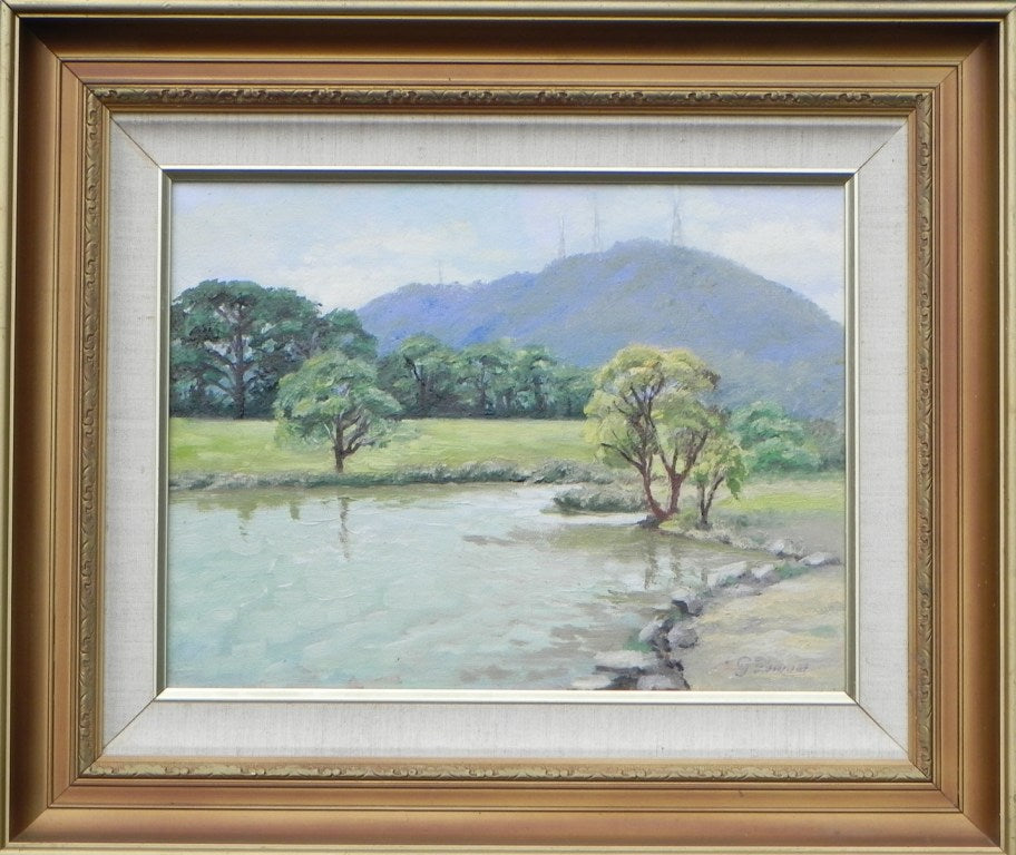 Retarding Basin, Victoria, Australia