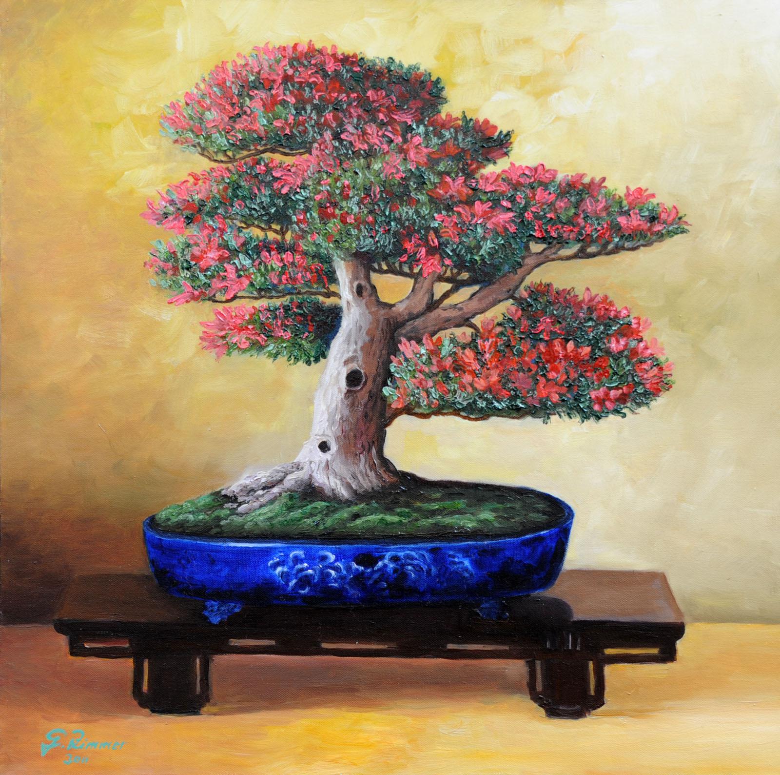 Bonsai Satsuki Azaela