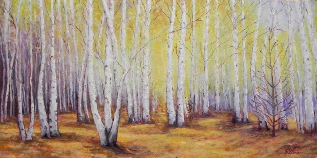 Silver Birch Forest