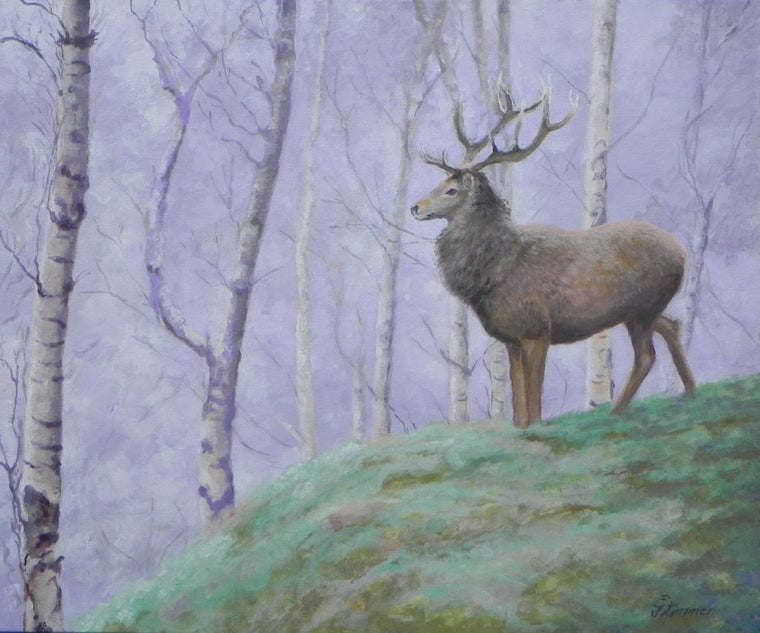 Stag In Morning Mist