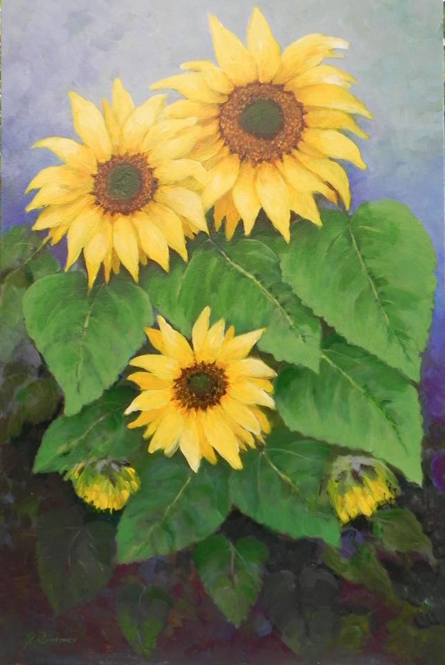 Sunflowers in Bloom