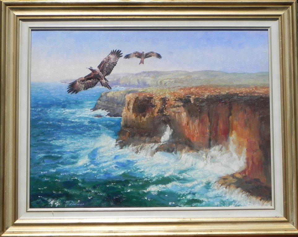 Wedgetailed Eagle and Kite over Port Campbell, Victoria, Australia