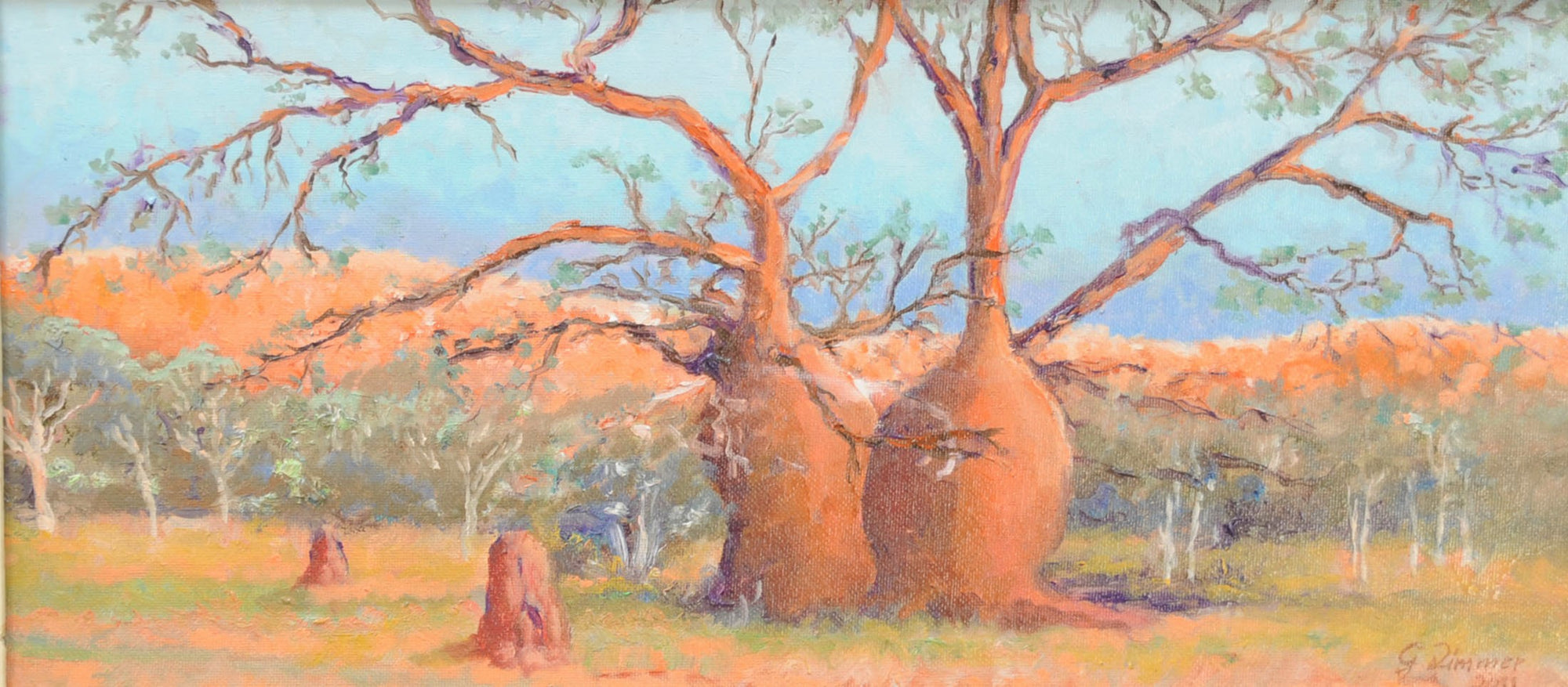 Australian Kimberley Boababs